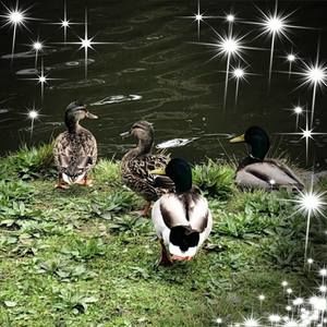 Meet your Posher, Kerrie